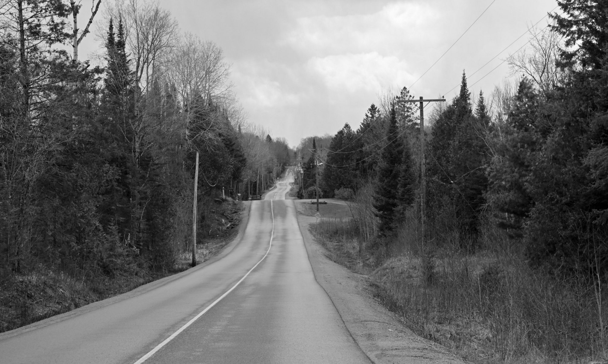 The image depicts a winding road stretching into the distance, flanked by trees on either side. The road, which appears wet and slick, is shown in a black-and-white color scheme, highlighting the contrast between the dark trees and the lighter road surface. Telephone poles and power lines run alongside the road, which gently curves through a wooded area, creating a serene and slightly desolate atmosphere. The surrounding trees are a mix of evergreens and deciduous trees, some of which have lost their leaves, suggesting late autumn or early spring. The sky is overcast, adding to the monochromatic and moody ambiance of the scene.